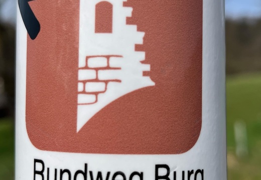 25-03-21 12-53-21 2491